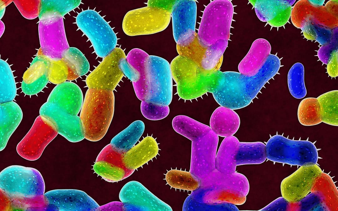 Banner bacteria